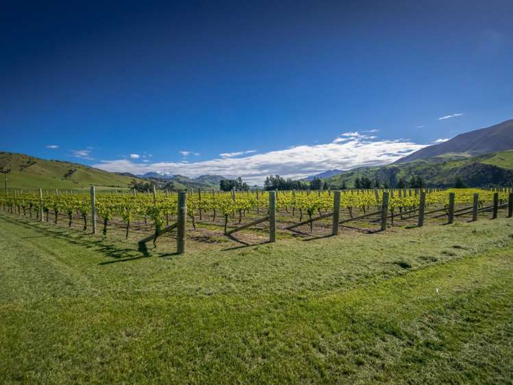 35 Welds Hill Road Awatere Valley_17