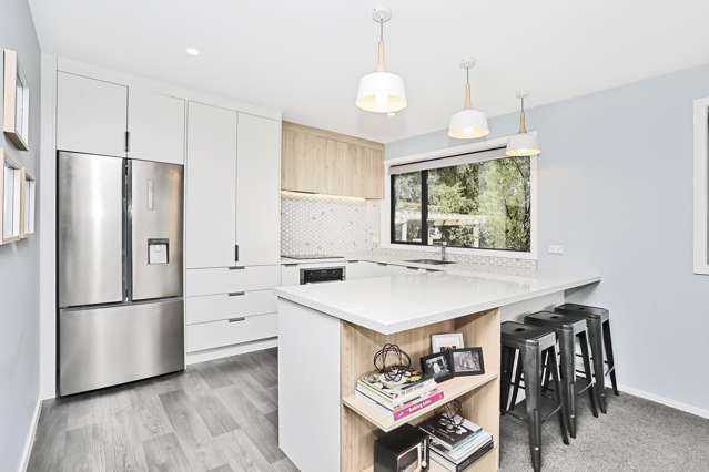 33b Holloway Street Waikiwi_3