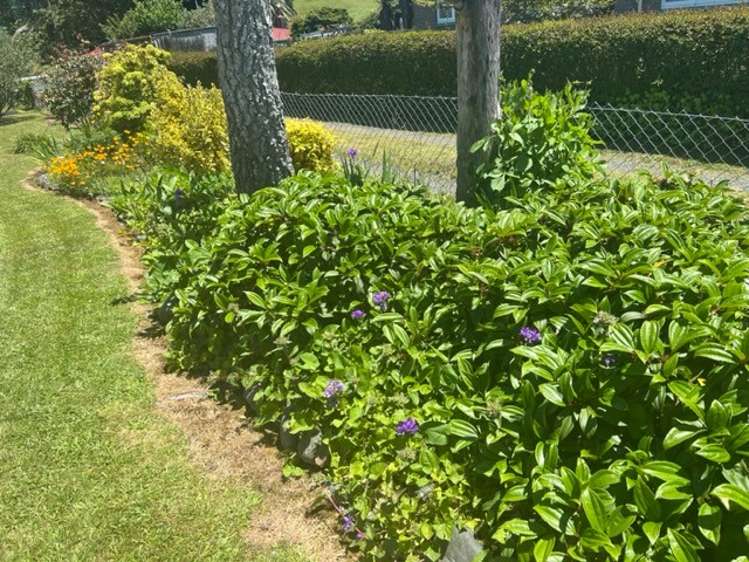 92 Reservoir Street Putaruru_19