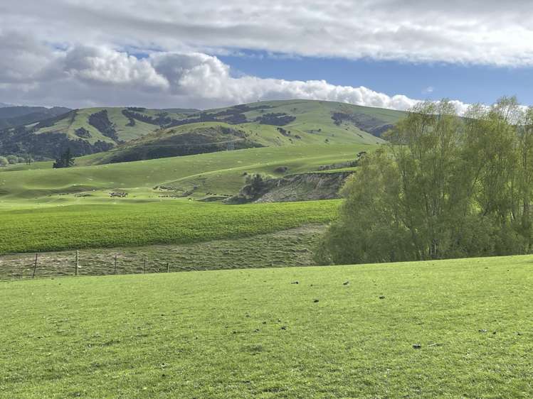 8 Munro Road Lawrence_6