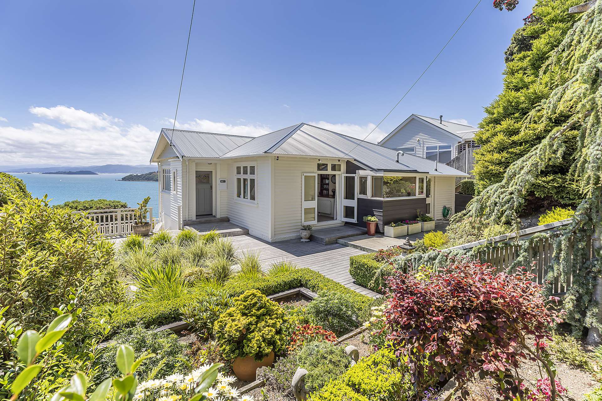 139 Grafton Road Roseneath_0