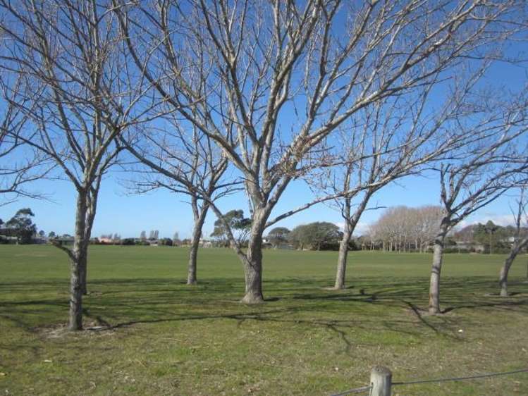 1/95 Cottonwood Street Parklands_11