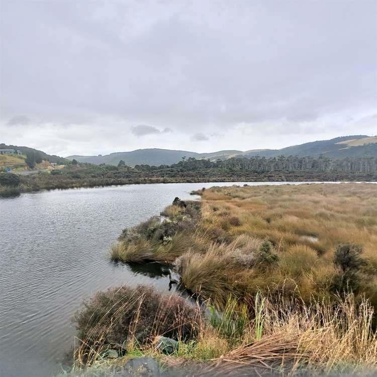 2270 Papatowai Highway Papatowai/Pounawea_17