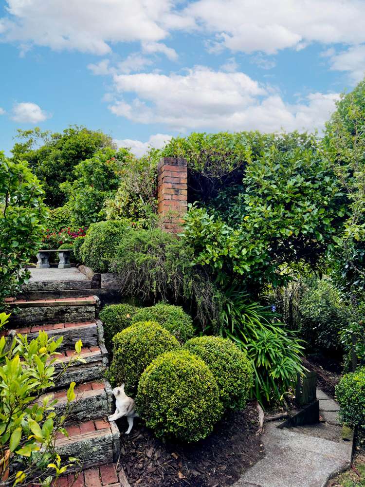 52 Central Terrace Kelburn_25