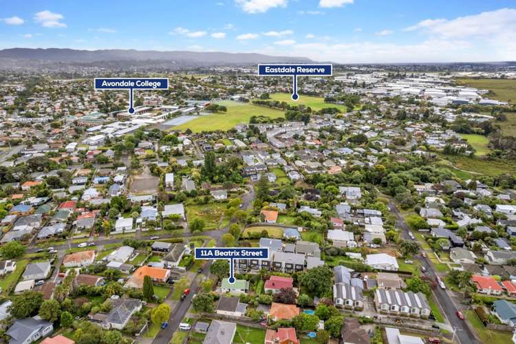 11a Beatrix Street Avondale_14