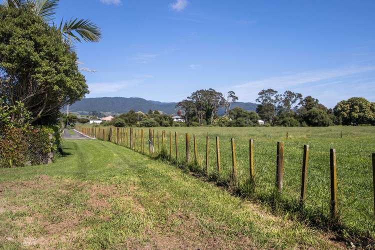 9c Gledstane Road Katikati_5