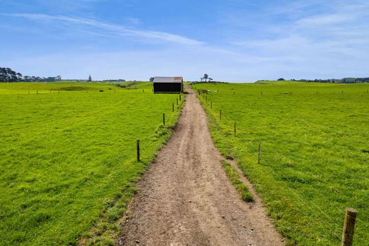 78a Waitoetoe Road Mimi_15