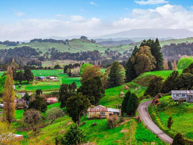 17 Hapa Road Kakahi_1