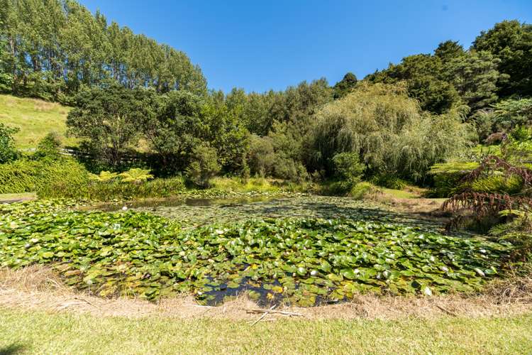 401 Wright Road Matakana_63