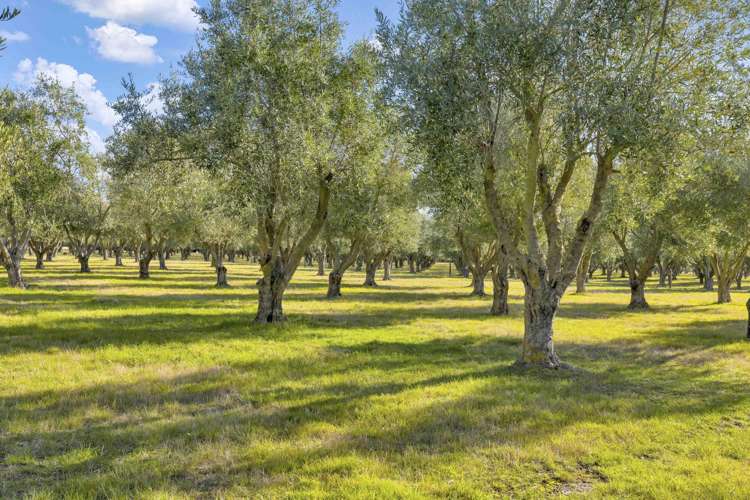 327 Georges Road Amberley_24