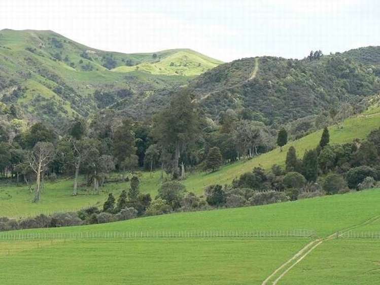 357 Summerhill Road Hinakura_5