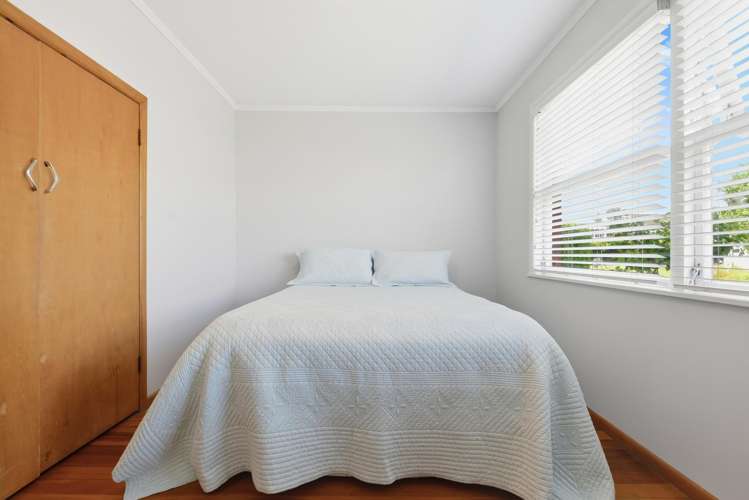 386 Ulster Street Beerescourt_11