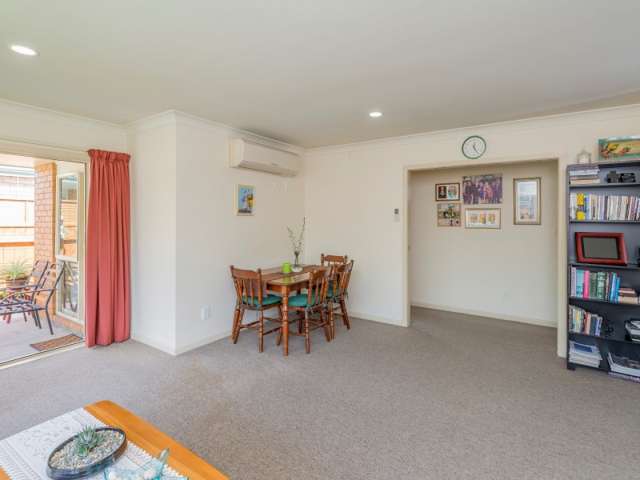 20a Reeve Street Levin_4