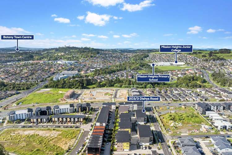 203/3 Dishys Road Flat Bush_13