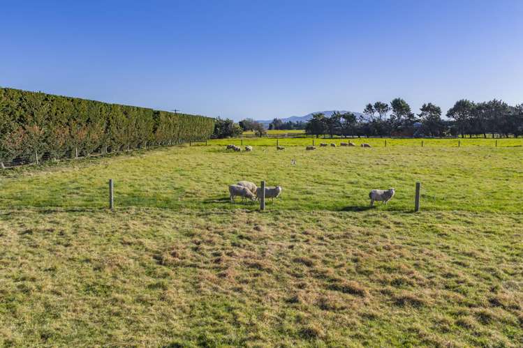 186 Terrace Road Leithfield_32