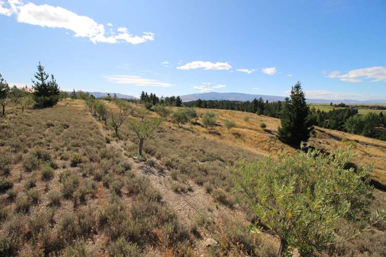 85a Letts Gully Road Alexandra_6