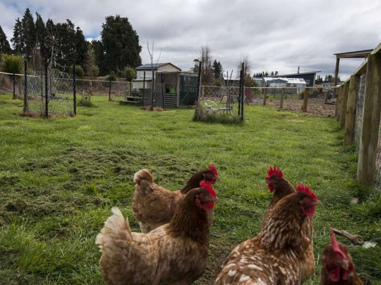 52a Ruapehu Road Ohakune_29