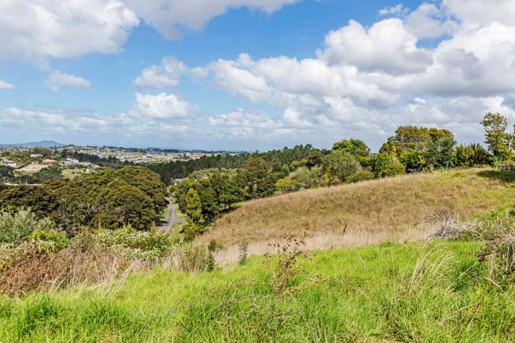 251 Lonely Track Road Albany Heights_12