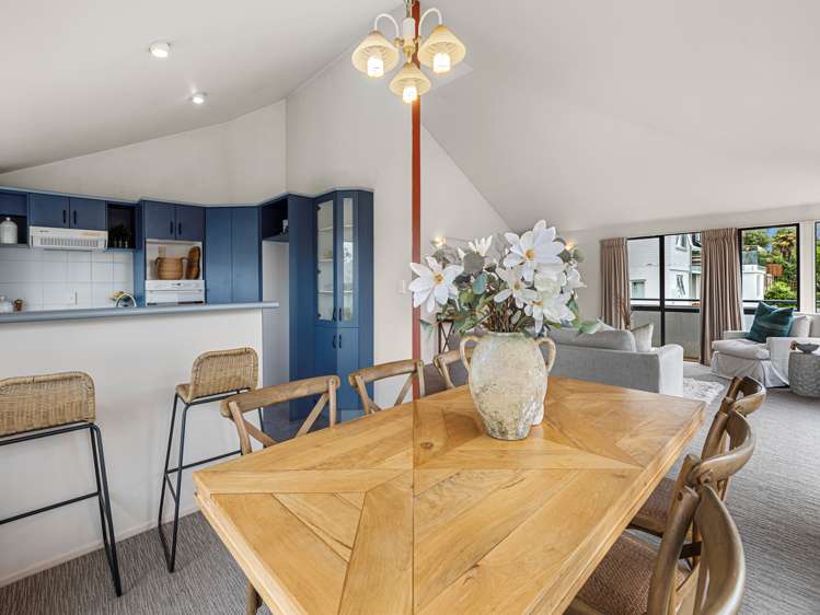 43b Harvey Street Tauranga South_12