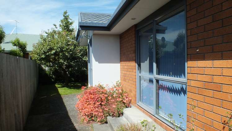 51 Wilkin Street Tinwald_9