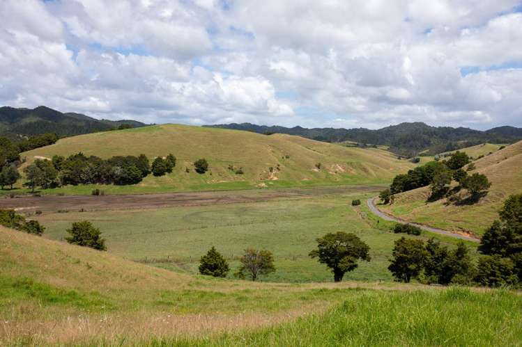 538 Hailes Road Whananaki_7