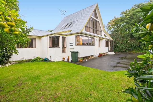 56 Thirteenth Avenue Tauranga South_2