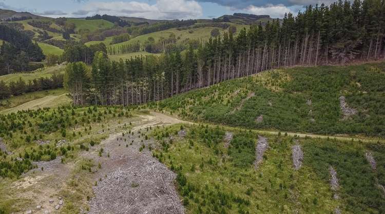 422 Glendhu Road Motunau_22