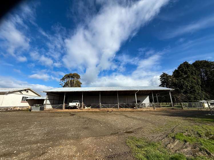 473 Clifden Gorge Road Eastern Bush_10
