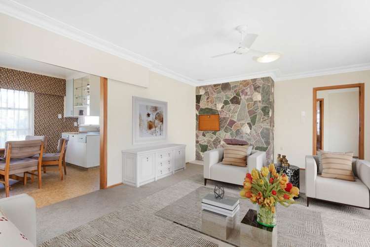 24 Subritzky Avenue Mount Roskill_6