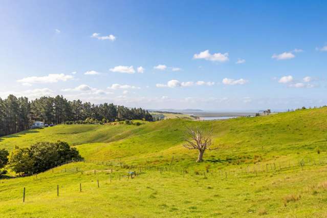 47 Witheford Road Wellsford_4