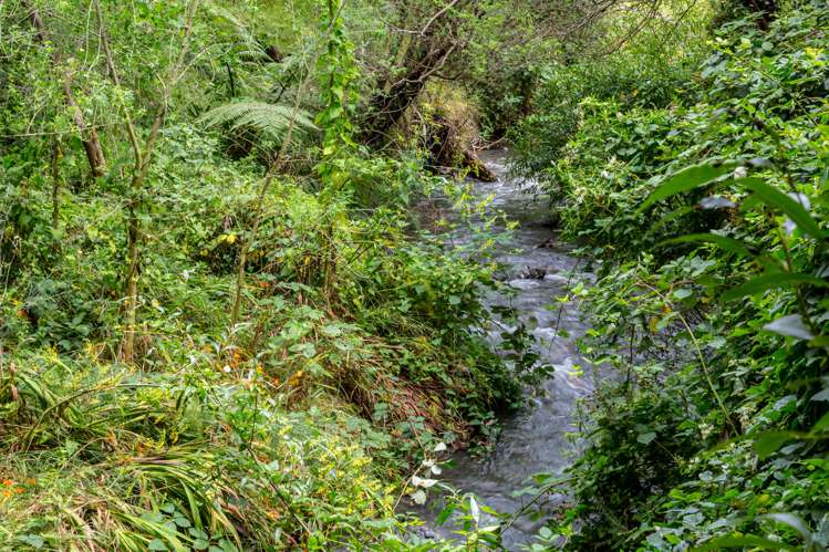 80 Johnston Street Featherston_18