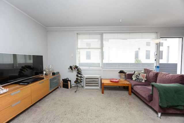 8/20 Shelly Beach Road Ponsonby_4