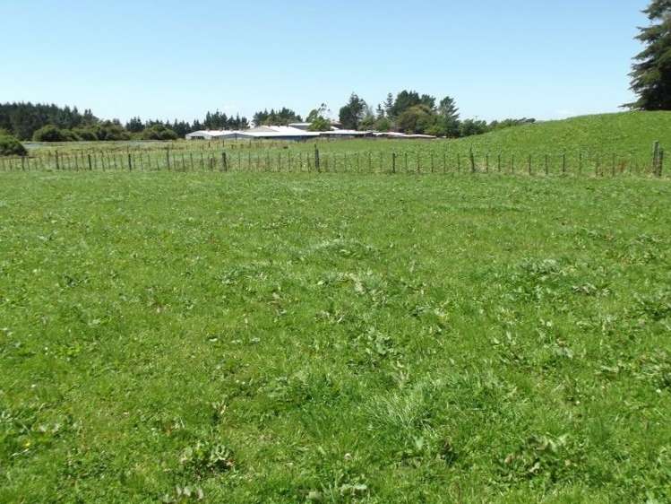 3082 Mountain Road Midhirst_48