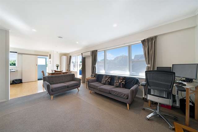 17 Linden Street Mount Roskill_4