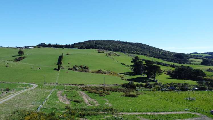 25 Castle Street Riverton_20