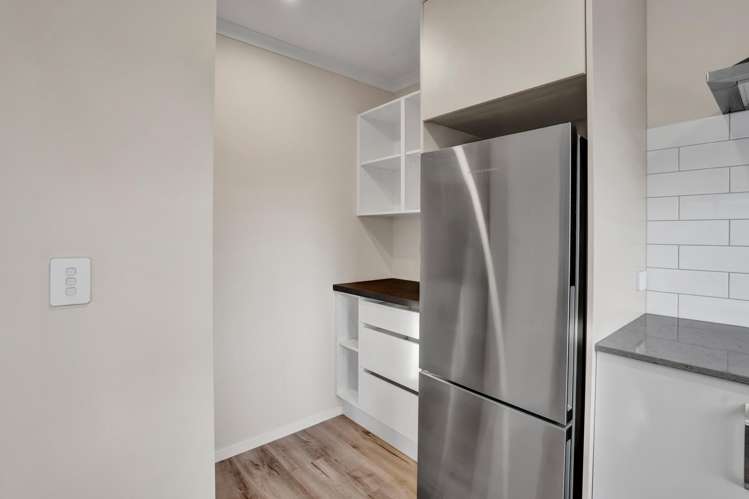 10a Wilton Street Westown_8