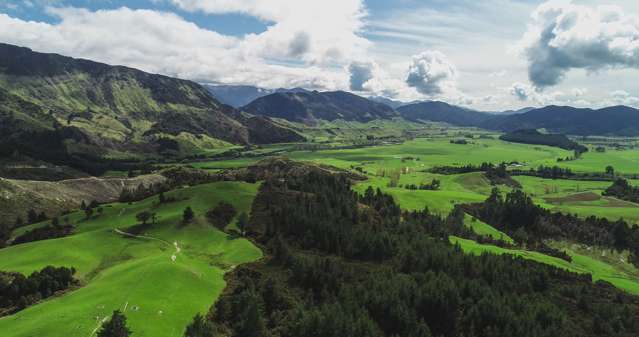 557 Tadmor-Bushend Road Tapawera_4