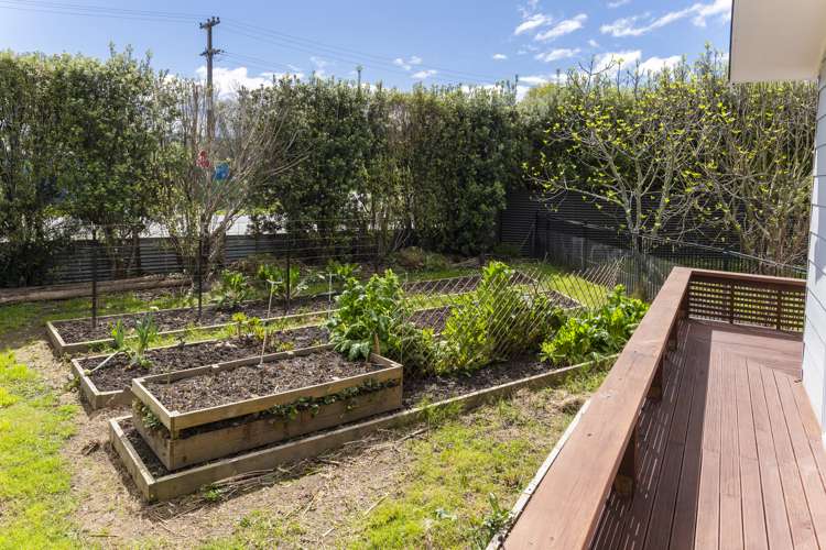 312 King Road Makauri_16