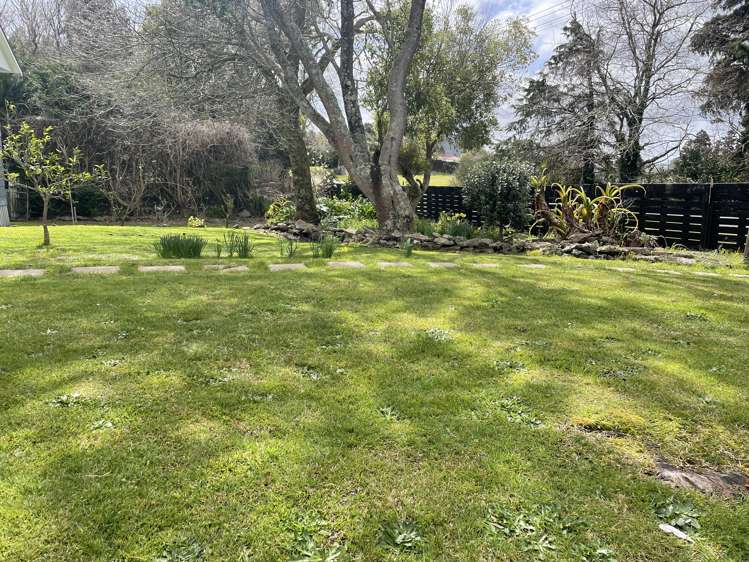 10 Banks Street Waihi_10