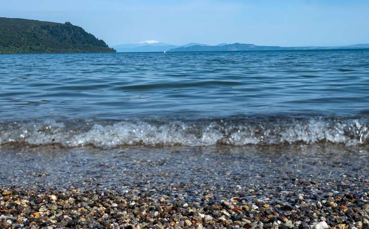 39 Nisbet Terrace Kinloch_17