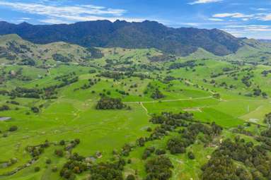 1070 Tangihua Road_4