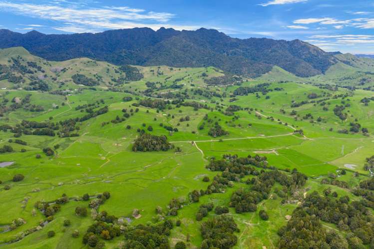 1070 Tangihua Road Maungakaramea_4