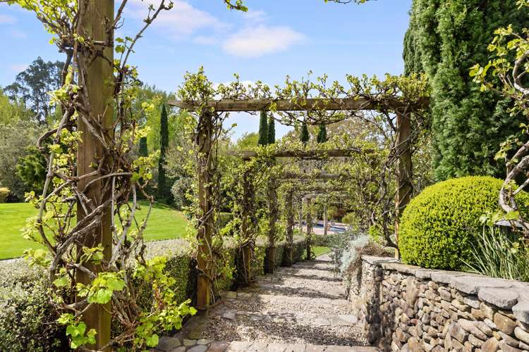 33 Poplar Lane Matangi_23