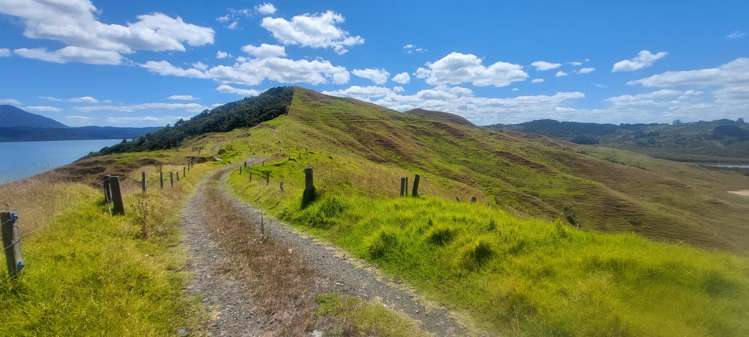 Brindle Road Opononi_23