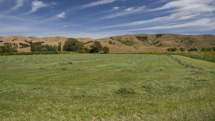 1231 Longbush Road Carterton_15