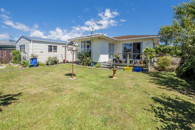 58 Strathmore Avenue Levin_4