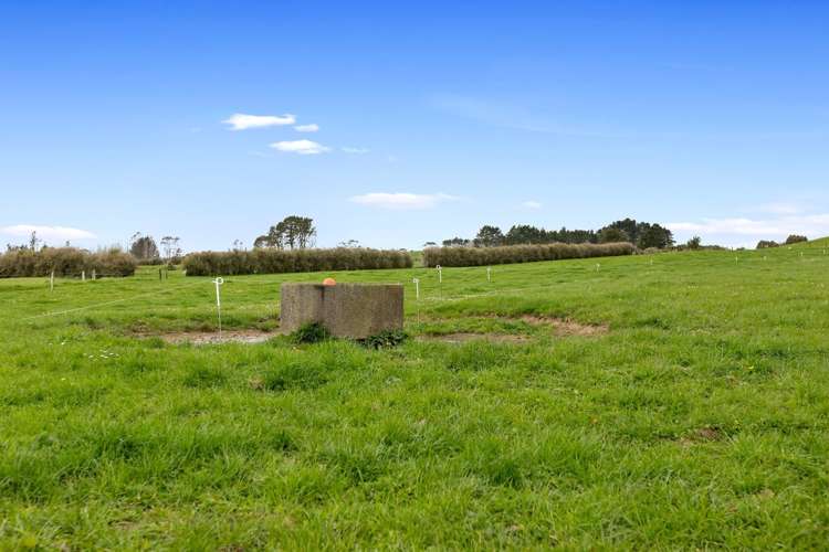 655 Plymouth Road Koru_9