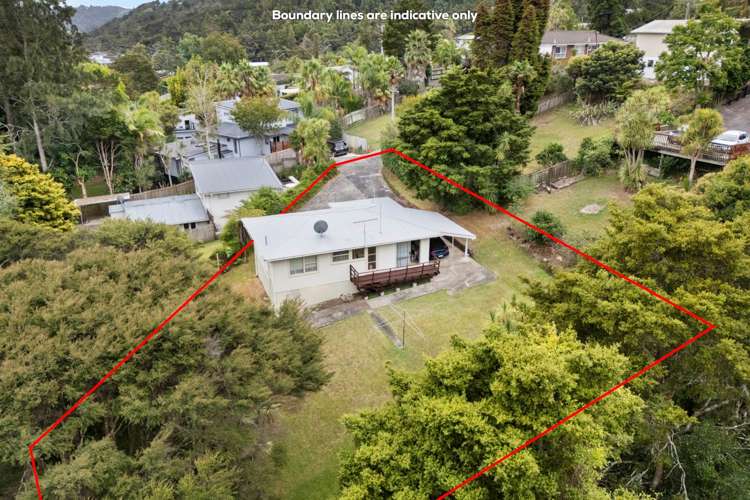 131 Eskdale Road_0