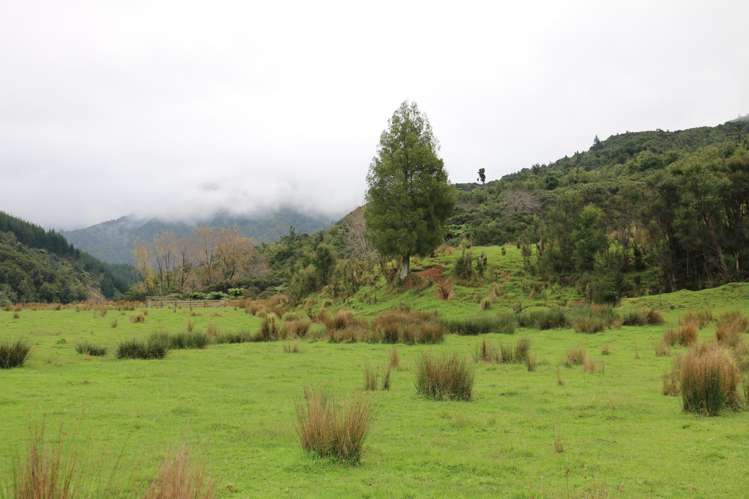 196 Griffiths Road Ruatoria_15