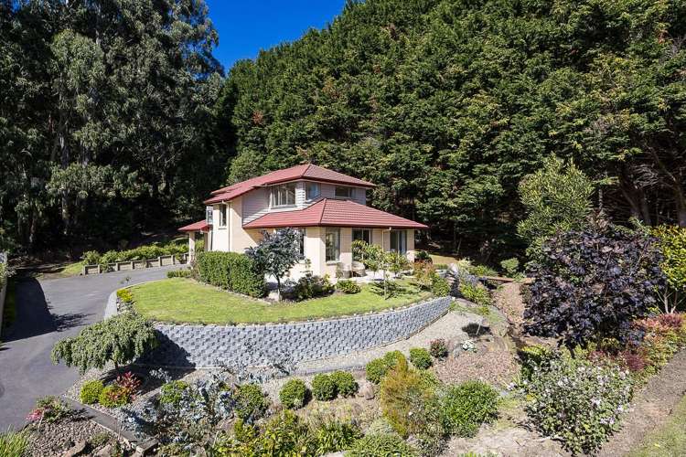 34 Clearwater Street Broad Bay_22